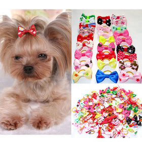 20PCS/Lot Assorted Pet Hair Bows