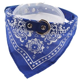 Cute Small Dog Collars Tie