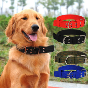 Classic Four Layers Dog Collars