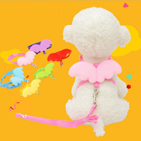 Cute Angel Pet Dog Leashes and Collars Set