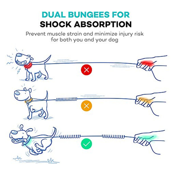 Dog Leash With Collar Durable Bungees