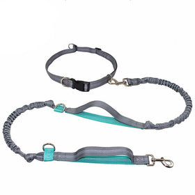 Dog Leash With Collar Durable Bungees