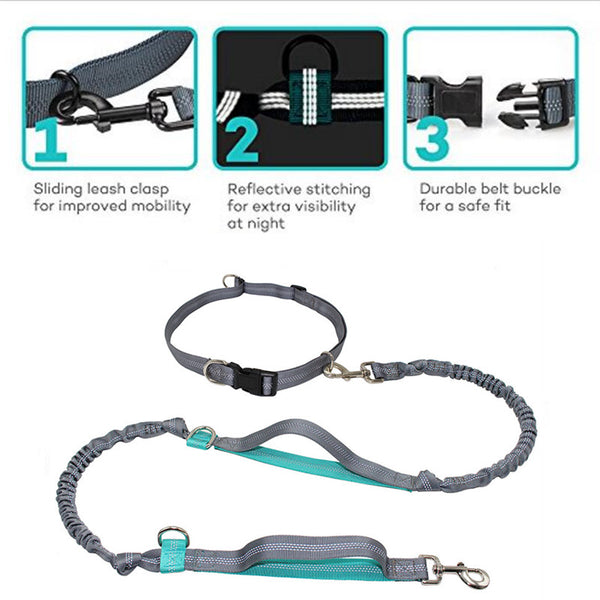 Dog Leash With Collar Durable Bungees