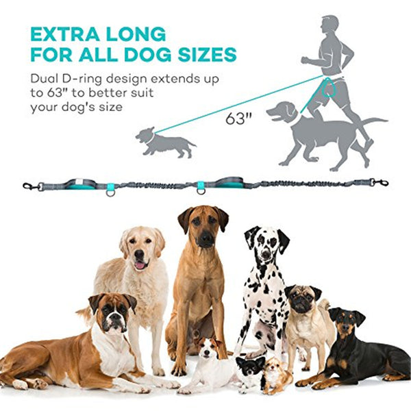 Dog Leash With Collar Durable Bungees