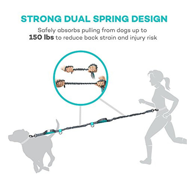 Dog Leash With Collar Durable Bungees