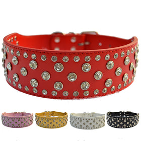Fashion Diamante Dog Collar