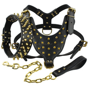 Leather Spiked Studded Collar Harness and Chain