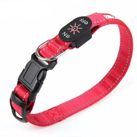 USB Charging Greed Glowing Pet Collars