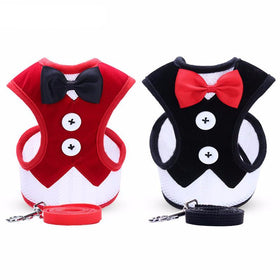 Small Dog Harness Leash Set