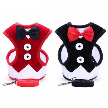 Small Dog Harness Leash Set