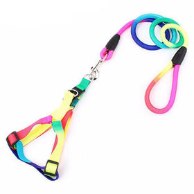 Rainbow Dog Harness And Leash Set