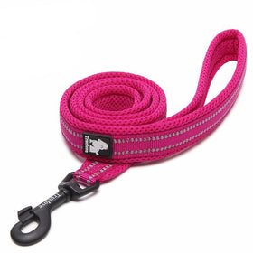 True Love Reflective Dog Leash \