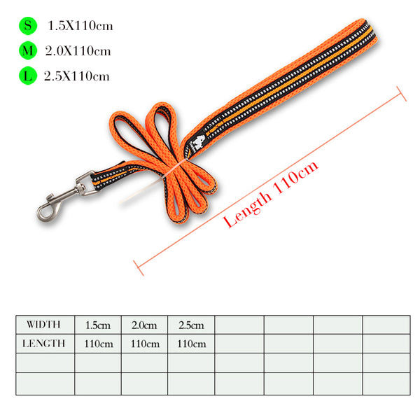True Love Reflective Dog Leash \
