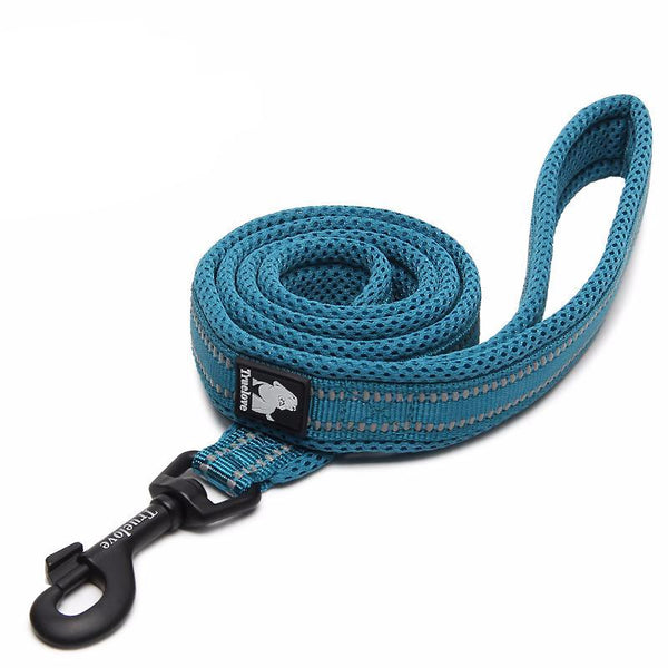 True Love Reflective Dog Leash \