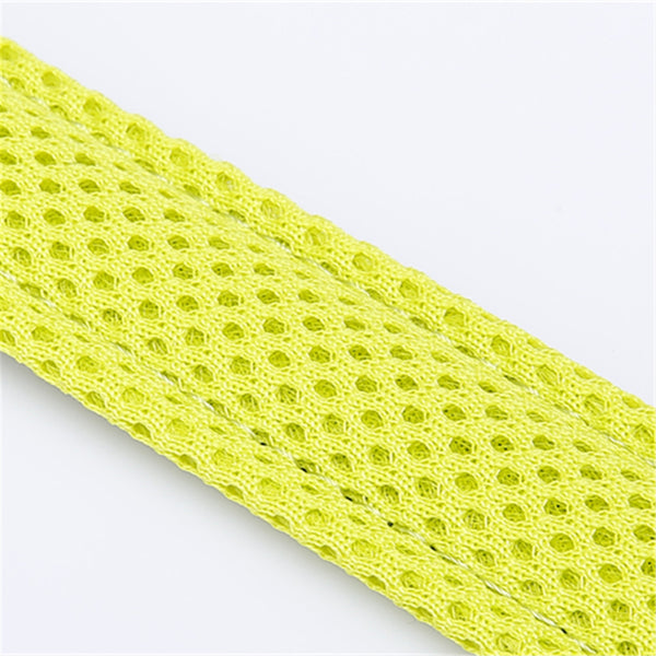 True Love Reflective Dog Leash \